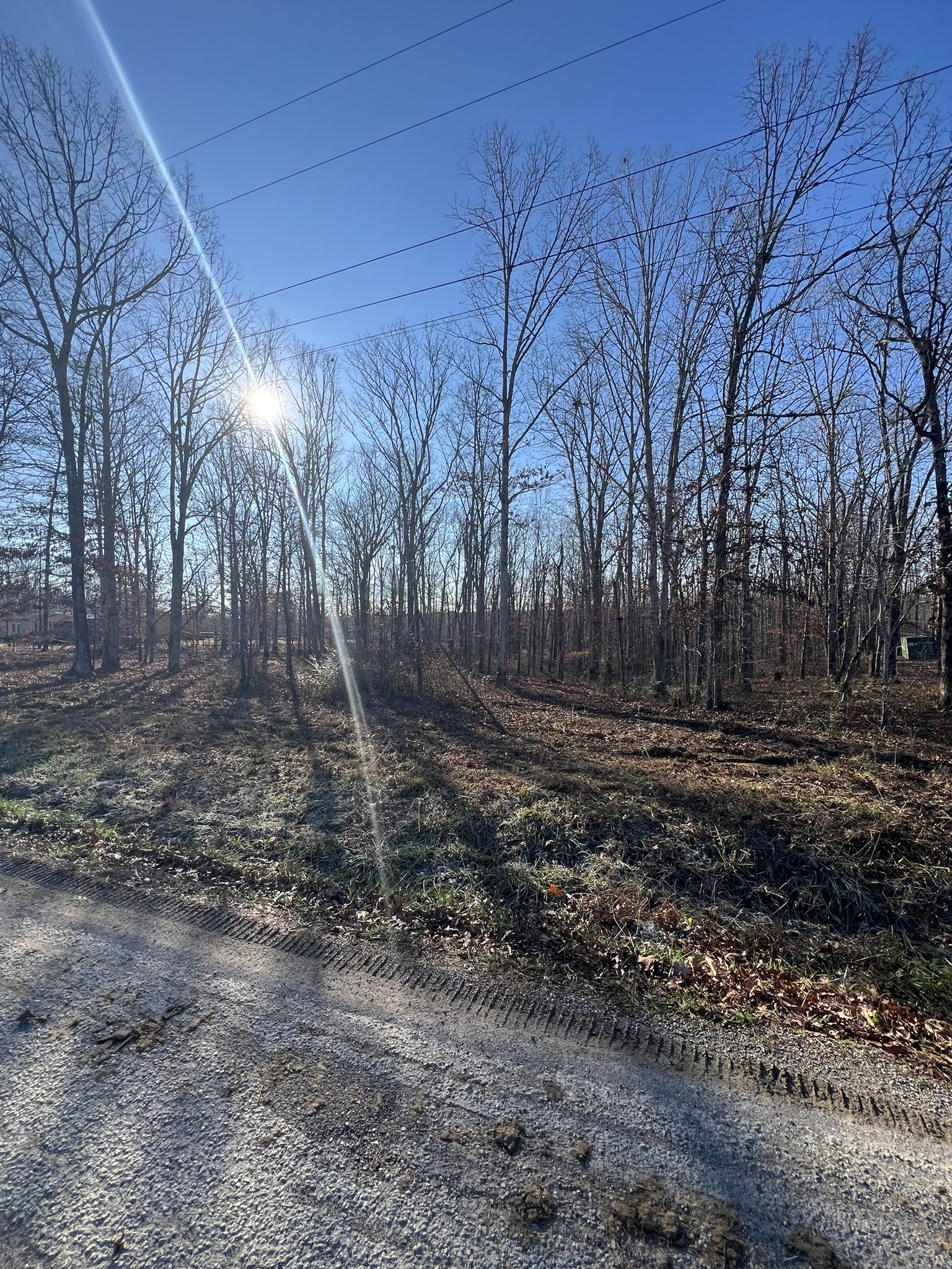 151 Kimberly Road Hohenwald, TN 38462 - Photo 1 of 9 a view of backyard with green space