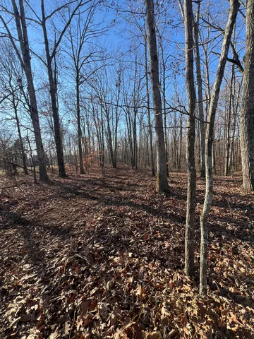 a view of house with trees