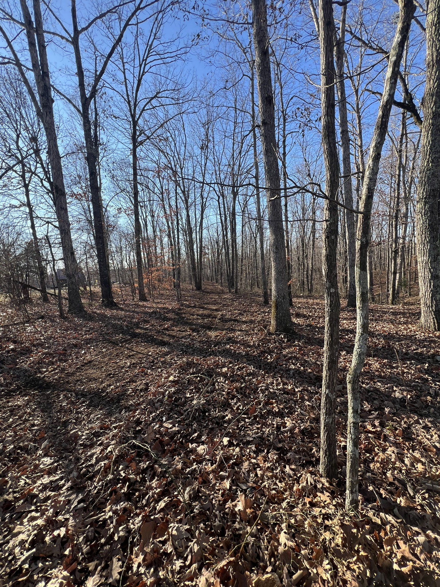 151 Kimberly Road Hohenwald, TN 38462 - Photo 4 of 9 a view of house with trees