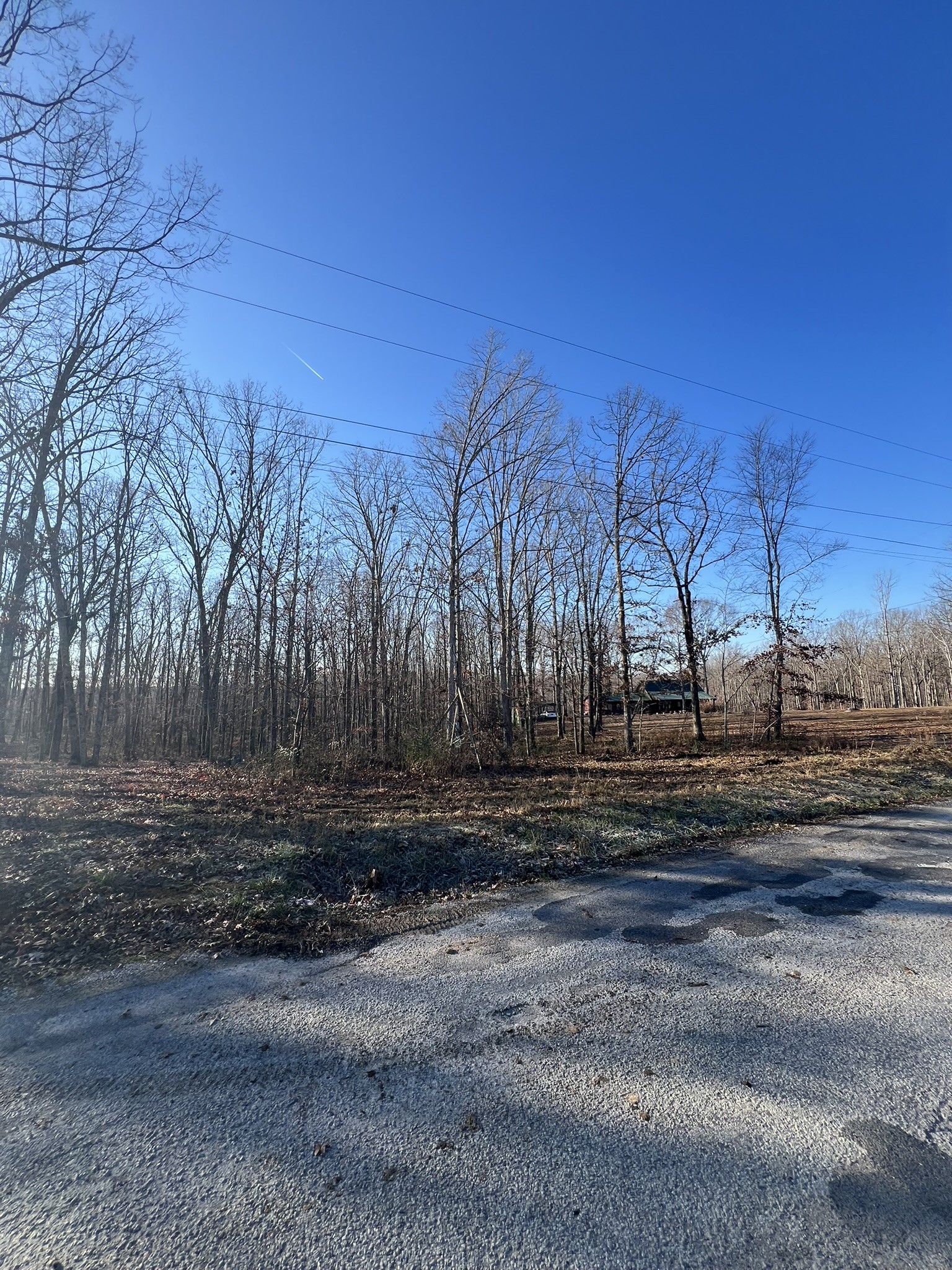 151 Kimberly Road Hohenwald, TN 38462 - Photo 5 of 9 a view of a yard