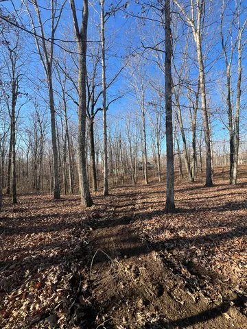 a view of a backyard with green space