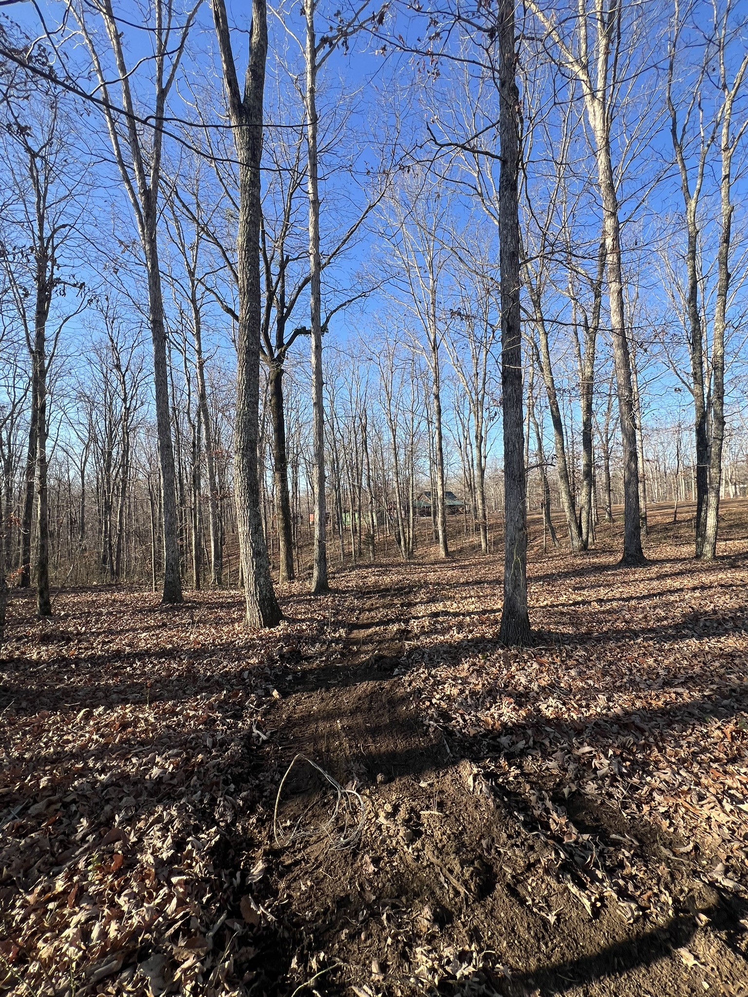 151 Kimberly Road Hohenwald, TN 38462 - Photo 8 of 9 a view of a backyard with green space