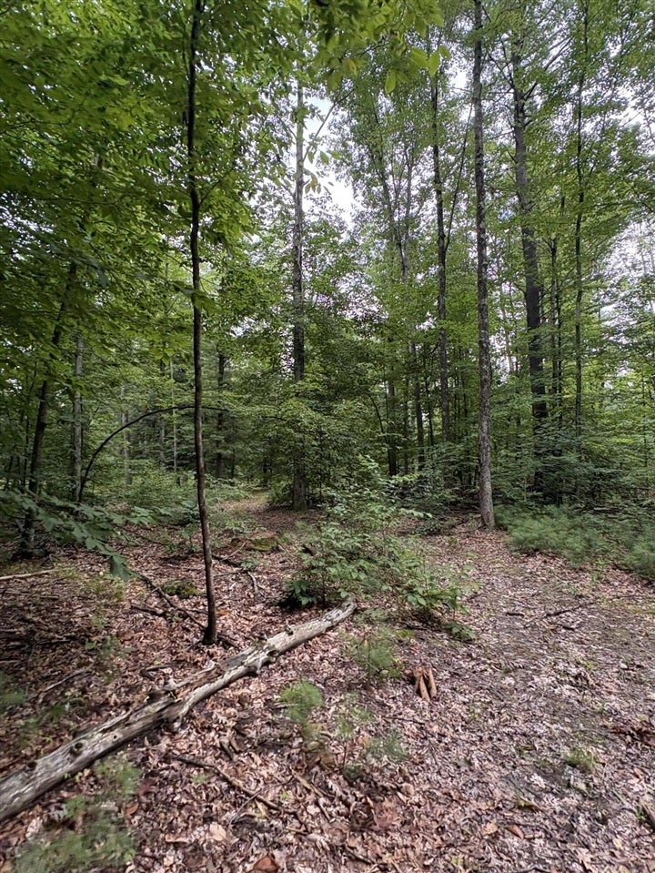 5 5 Mile Road Howard City, MI 49329 - Photo 56 of 99 Gallery Image 56