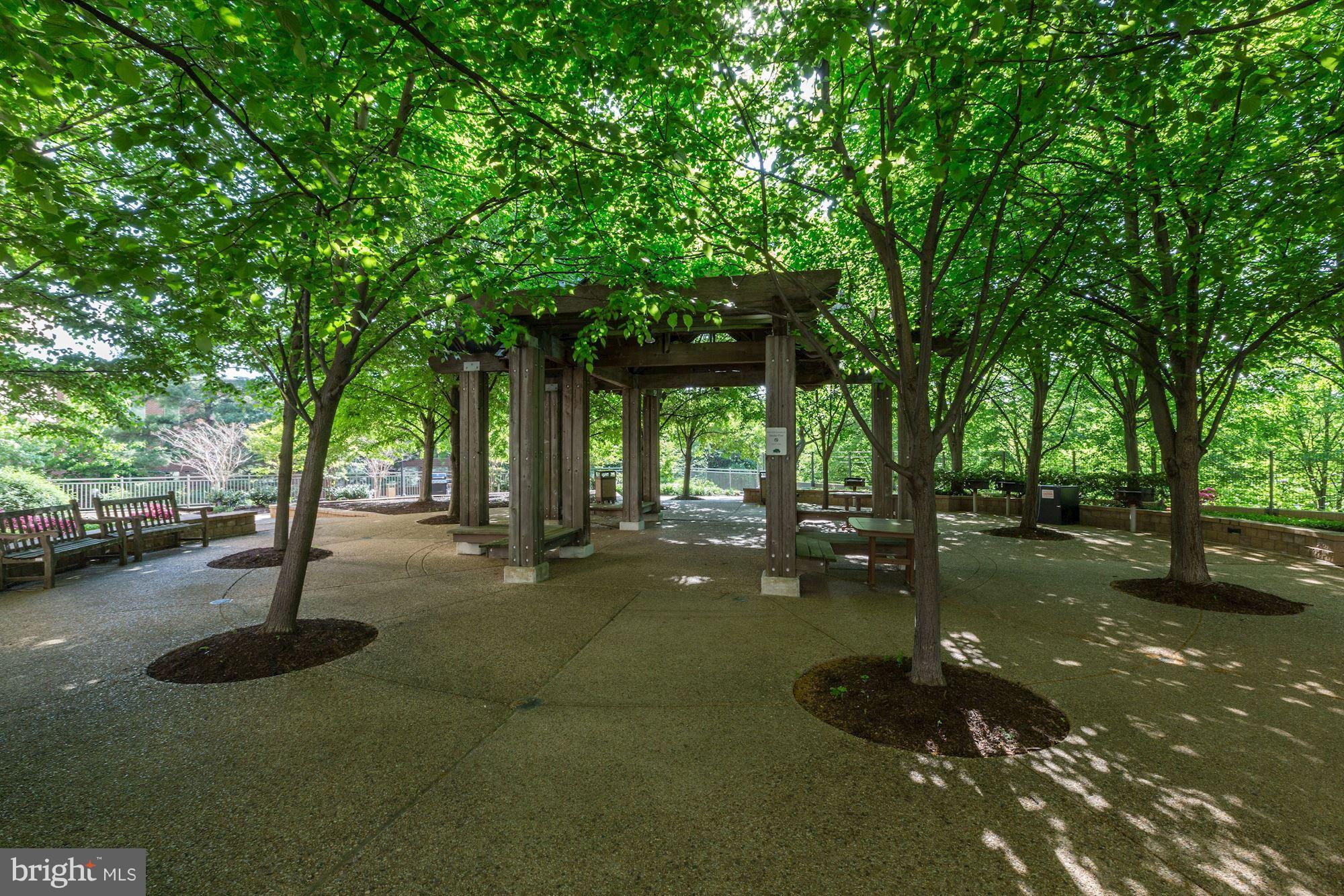 4141 North Henderson Road, Unit 1209 Arlington, VA 22203 - Photo 26 of 44 Hyde Park private park with grills