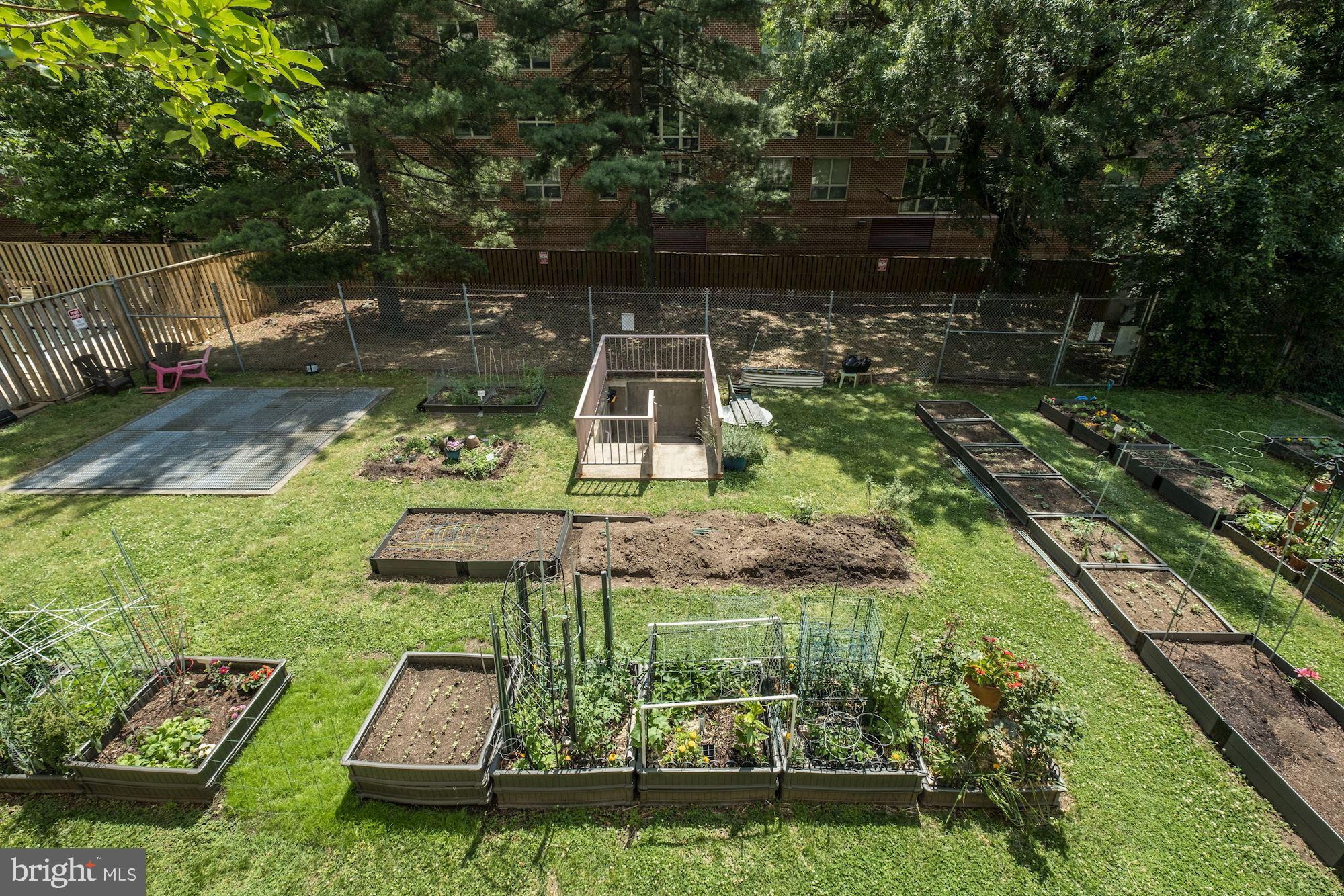 4141 North Henderson Road, Unit 1209 Arlington, VA 22203 - Photo 27 of 44 Hyde Park community garden