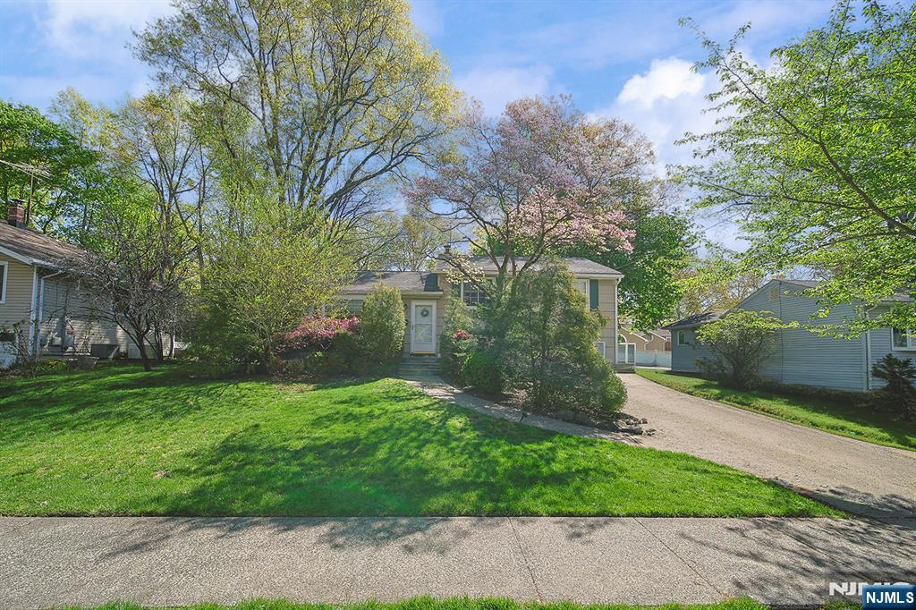 181 Crescent Street Closter, NJ 07624 - Photo 2 of 25 a view of a yard with plants and trees