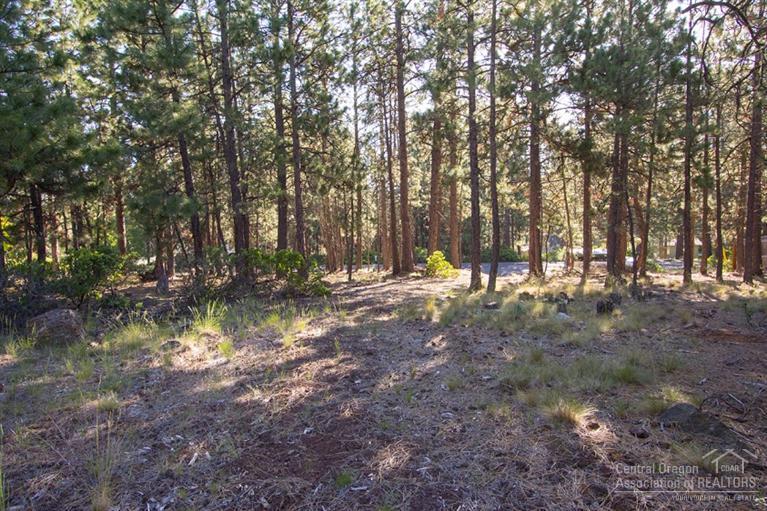 60195 Crater Road Bend, OR 97702 - Photo 9 of 9