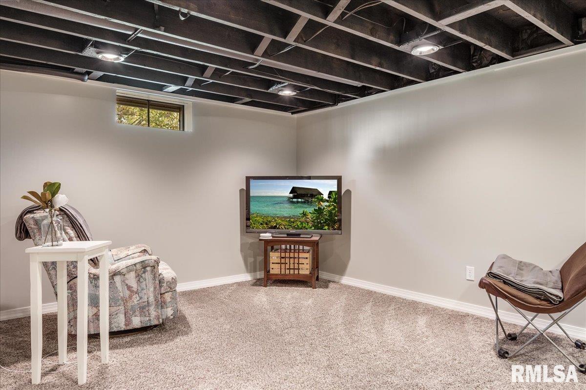 10943 Cass Road Buffalo, IL 62515 - Photo 33 of 44 Gallery Image 33
