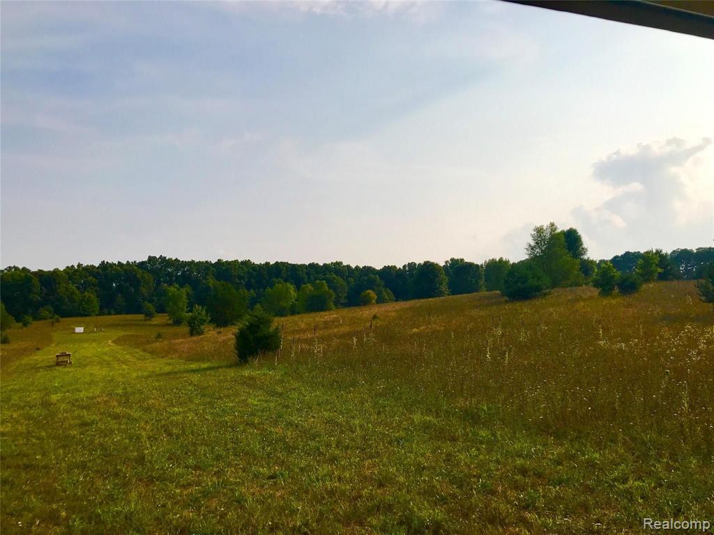 9102 Stelzer Road Howell, MI 48855 - Photo 5 of 18