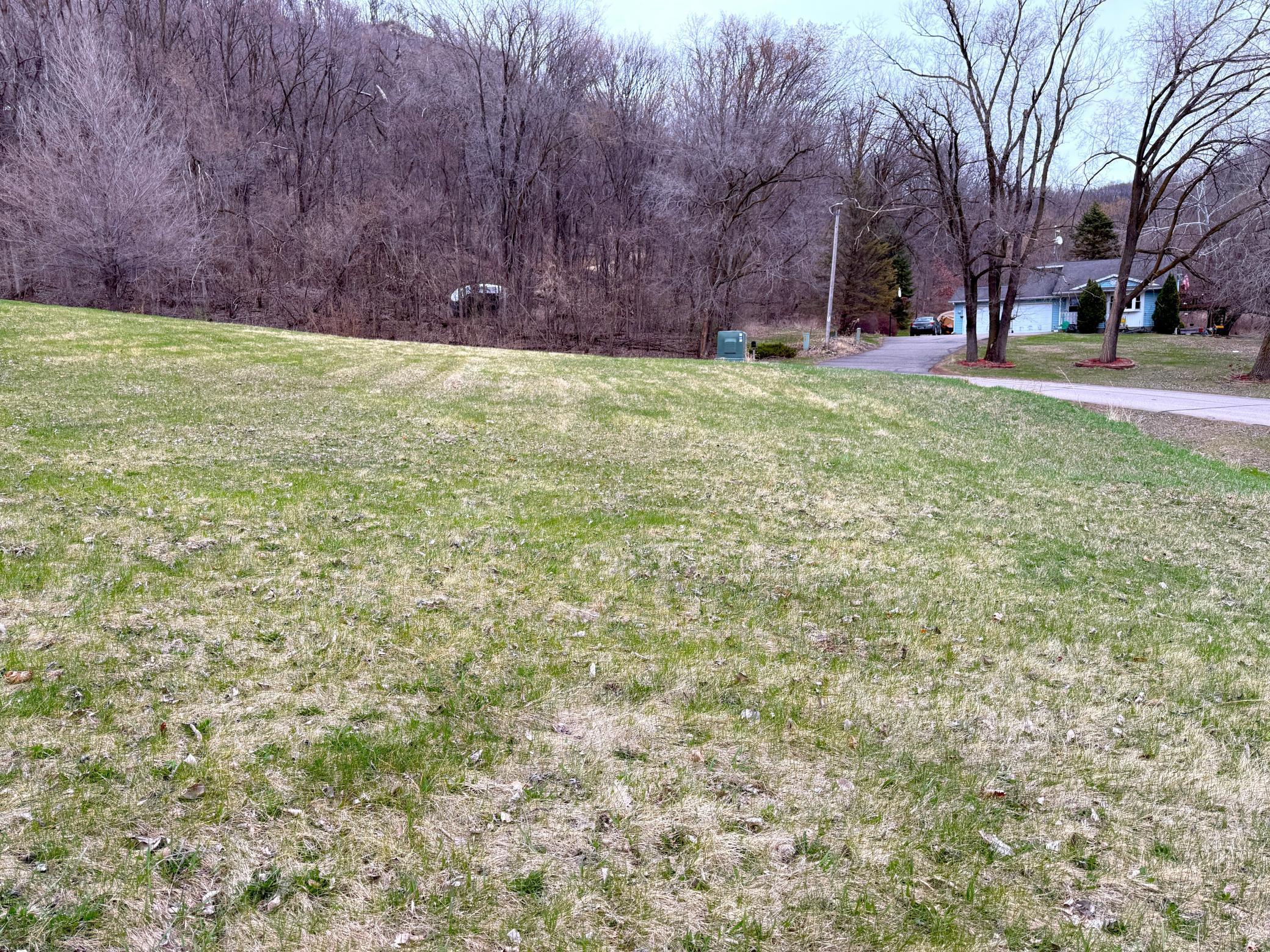 Tbd East Buffalo Court Nelson, WI 54756 - Photo 3 of 9