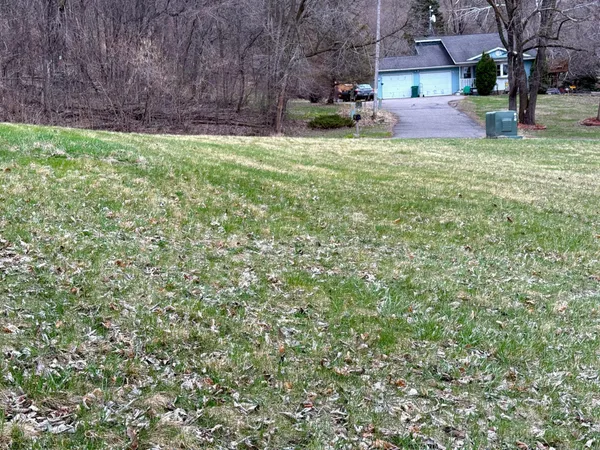 $20,000 | Tbd East Buffalo Court, Nelson, WI 54756