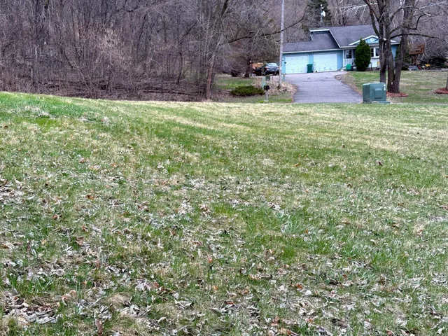 $20,000 | Tbd East Buffalo Court, Nelson, WI 54756