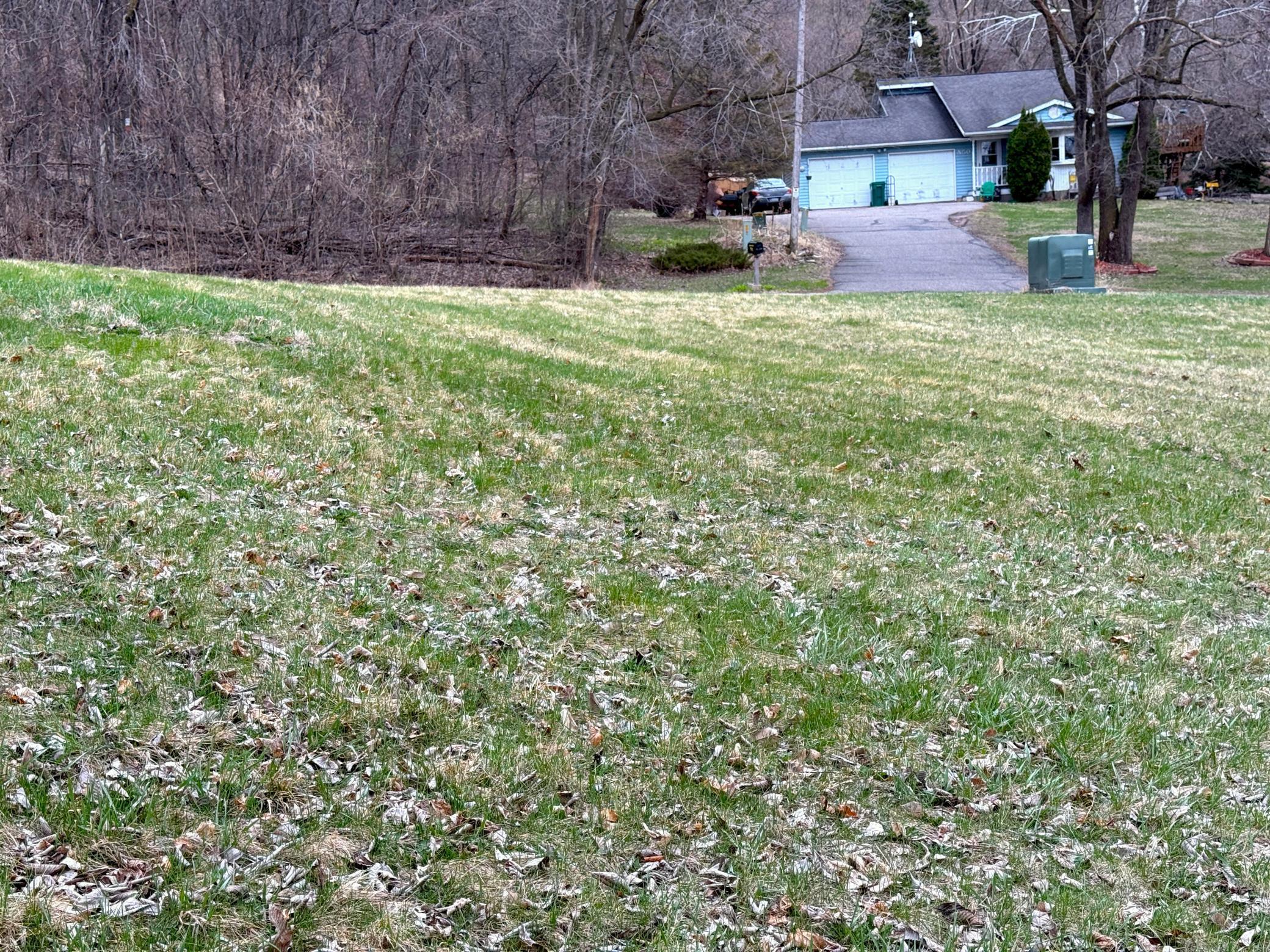 Tbd East Buffalo Court Nelson, WI 54756 - Photo 4 of 9