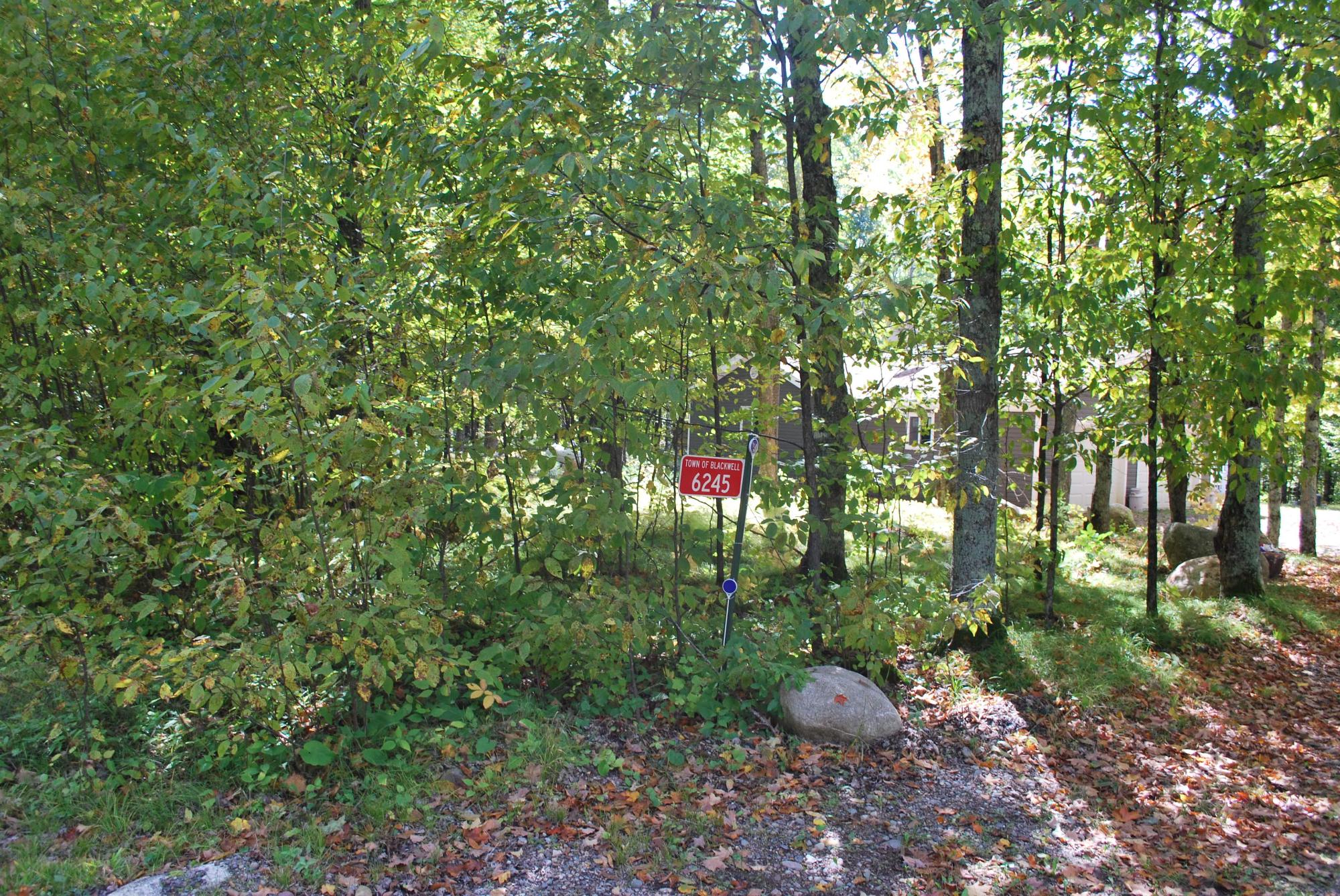 6245 Camp 6 Loop Road Laona, WI 54541 - Photo 31 of 34 Gallery Image 31
