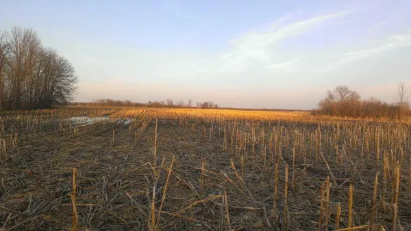 $106,000 | Tbd Tbd 16-005-0102 Mille Lacs County, Princeton, MN 55371