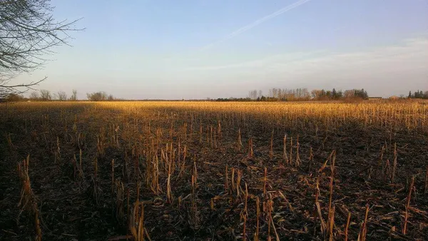 $106,000 | Tbd Tbd 16-005-0102 Mille Lacs County, Princeton, MN 55371