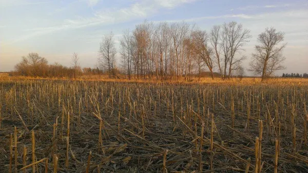 $106,000 | Tbd Tbd 16-005-0102 Mille Lacs County, Princeton, MN 55371