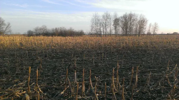 $106,000 | Tbd Tbd 16-005-0102 Mille Lacs County, Princeton, MN 55371