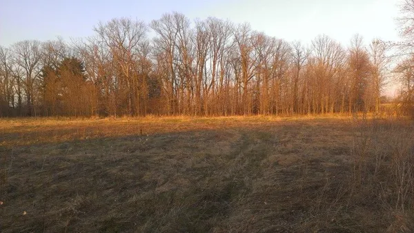 $106,000 | Tbd Tbd 16-005-0102 Mille Lacs County, Princeton, MN 55371