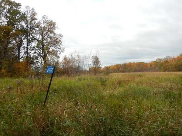 $106,000 | Tbd Tbd 16-005-0102 Mille Lacs County, Princeton, MN 55371