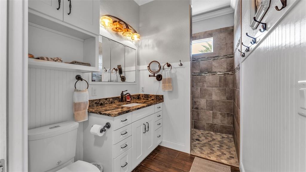 3272 Fish Hawk Drive Polk City, FL 33868 - Photo 25 of 38 a bathroom with a granite countertop sink a toilet and a shower