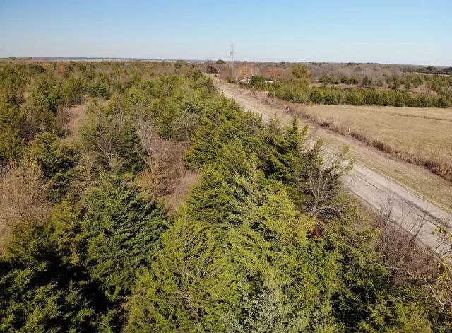 an aerial view of forest