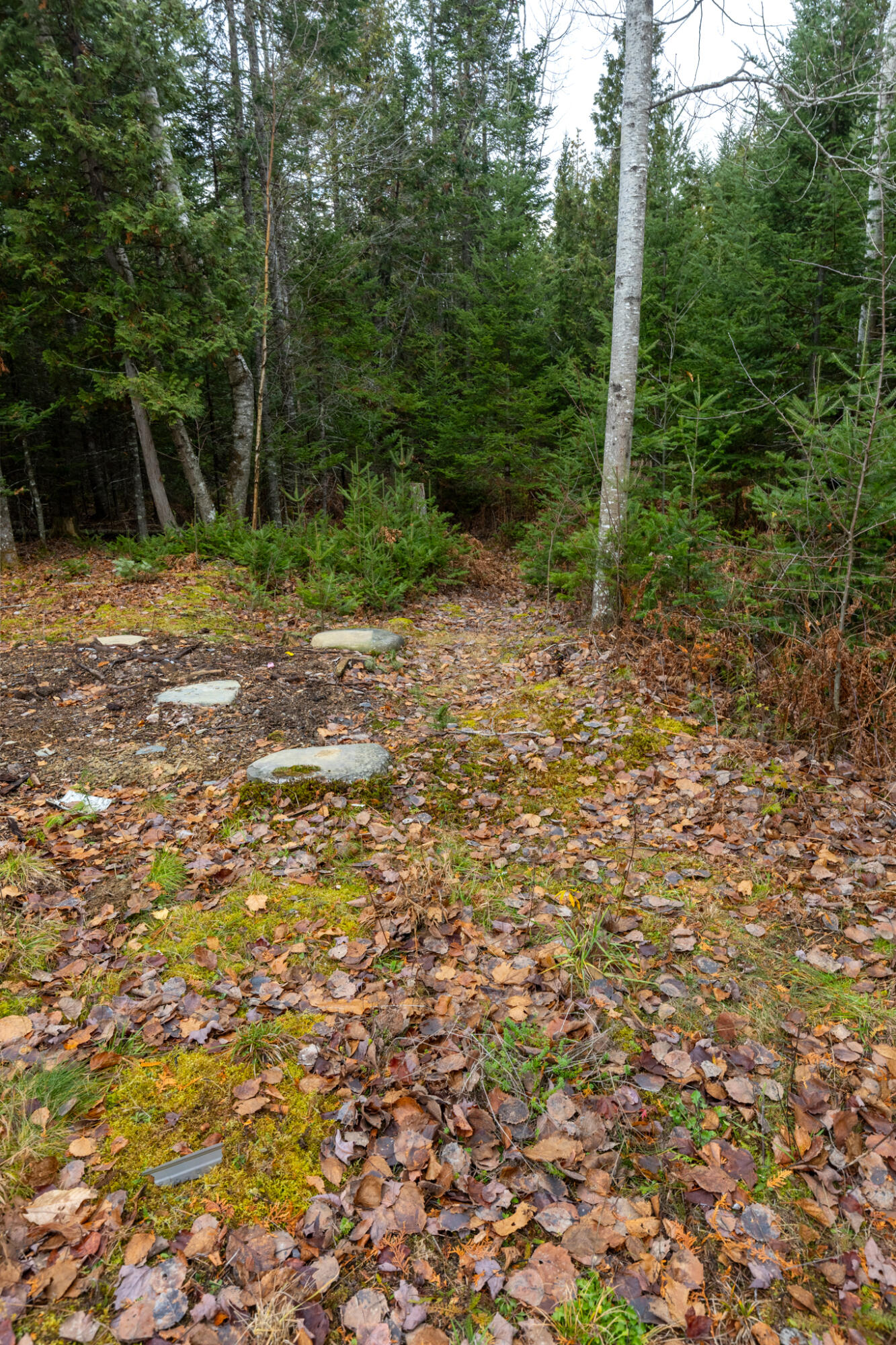 183 Skyline Road Bangor, ME 04401 - Photo 86 of 99 20251121-_MG_0296-HDR