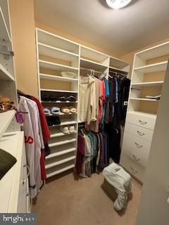 7900 Old York Road, Unit 403A Elkins Park, PA 19027 - Photo 13 of 15