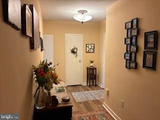 7900 Old York Road, Unit 403A Elkins Park, PA 19027 - Photo 5 of 15