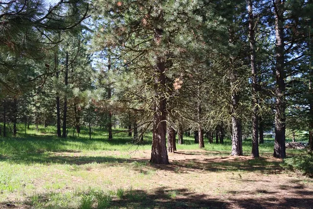 $688,750 | 571 Krahn Lane, McCall, ID 83638