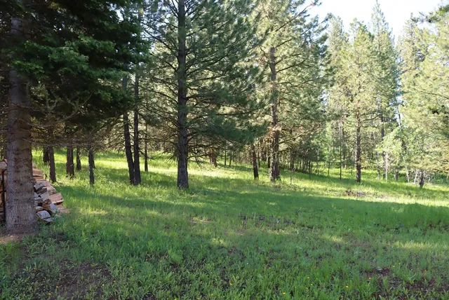 $688,750 | 571 Krahn Lane, McCall, ID 83638