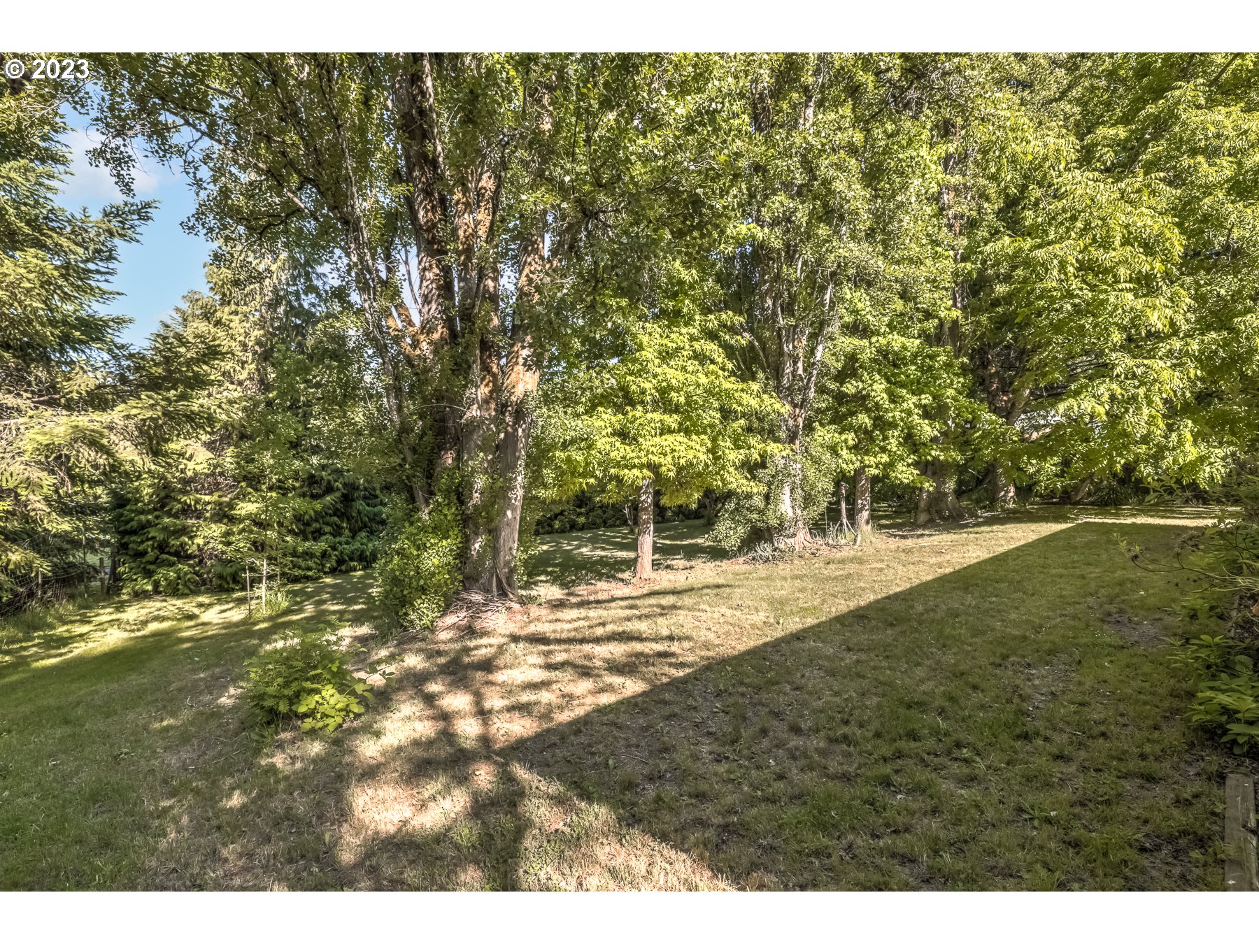 13100 Northwest Willis Road McMinnville, OR 97128 - Photo 29 of 38 a view of outdoor space and yard