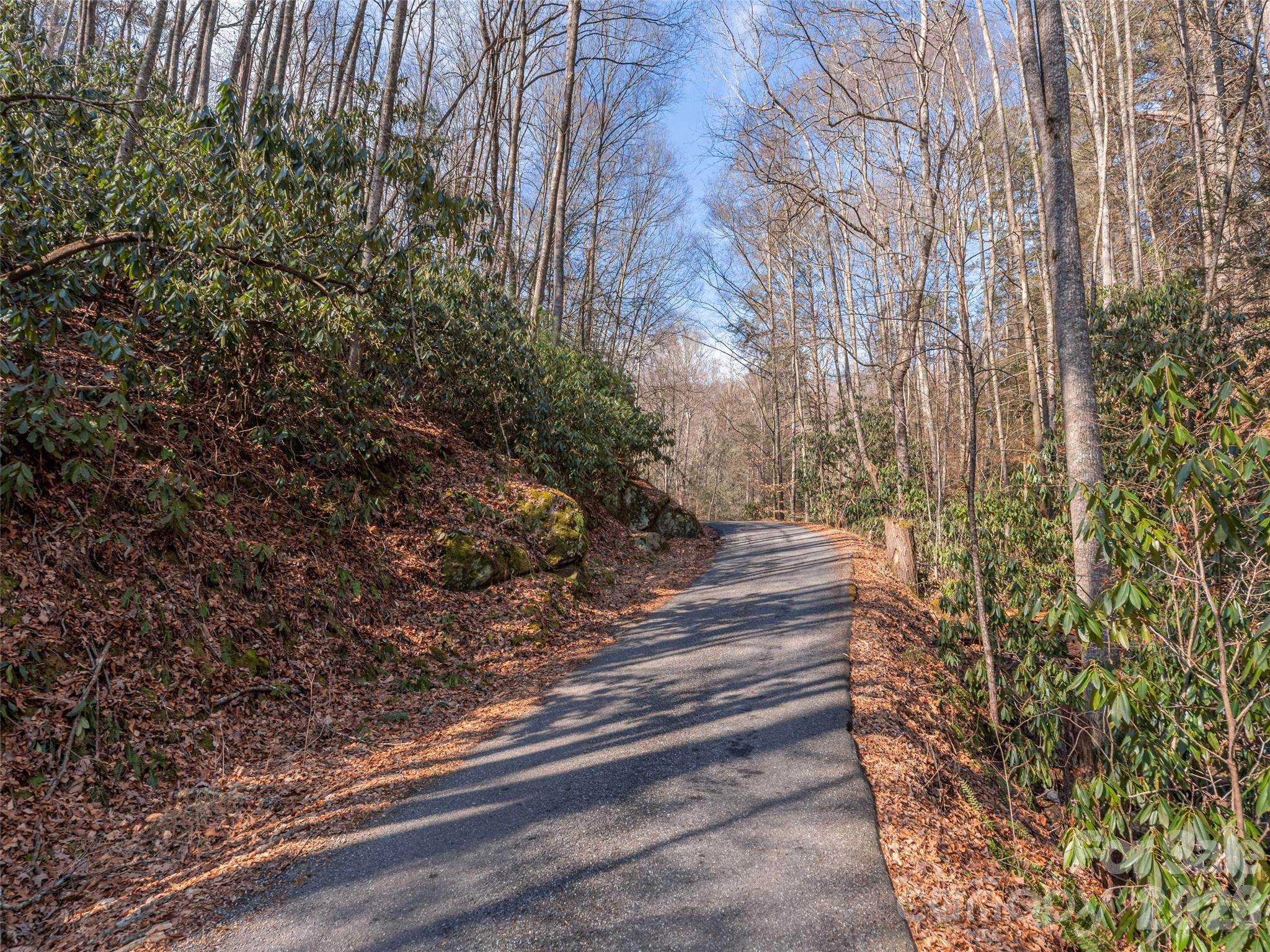 0 Coyote Hollow Road Waynesville, NC 28785 - Photo 1 of 12