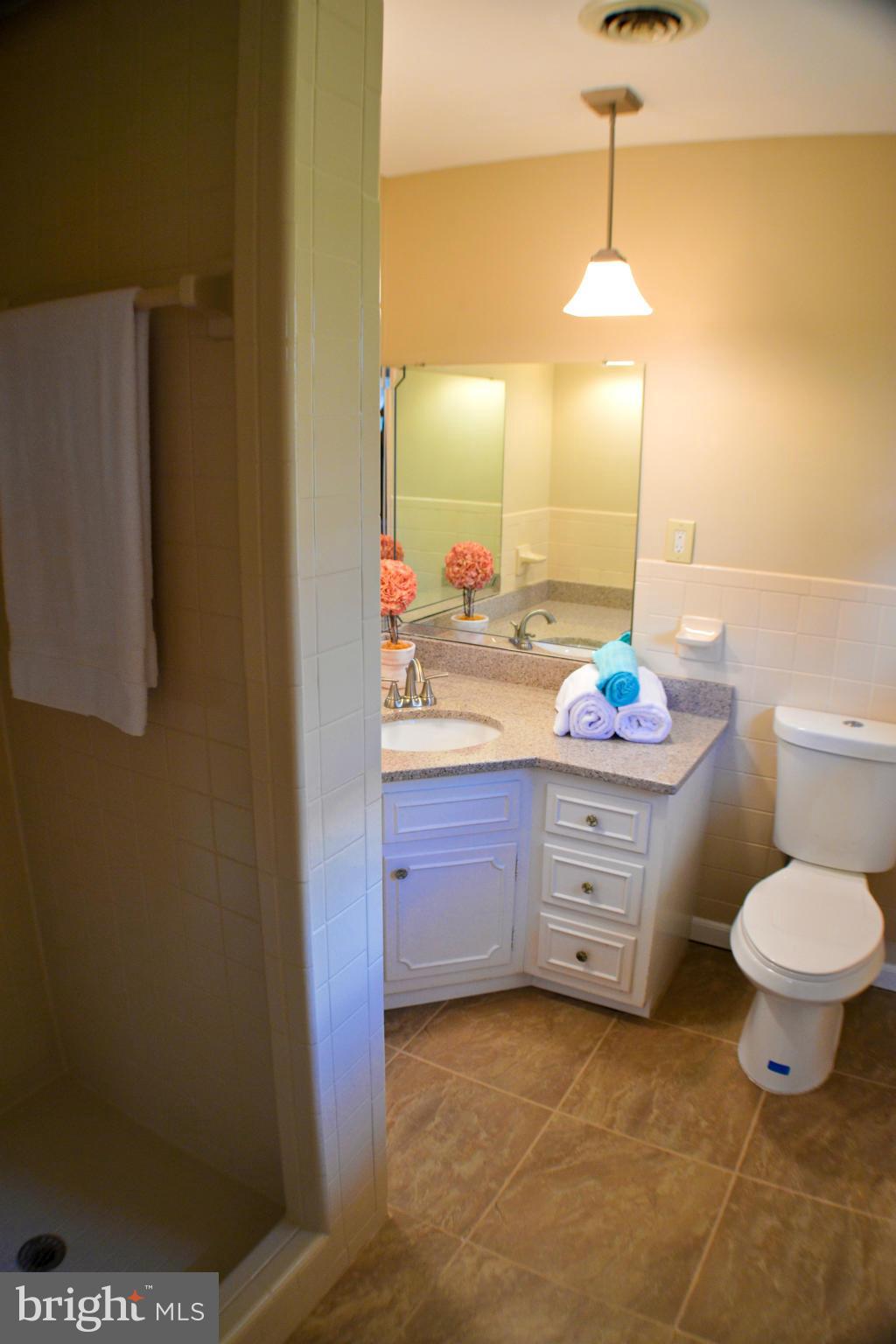 4036 Boteler Road Mount Airy, MD 21771 - Photo 13 of 30 Bath (Master)