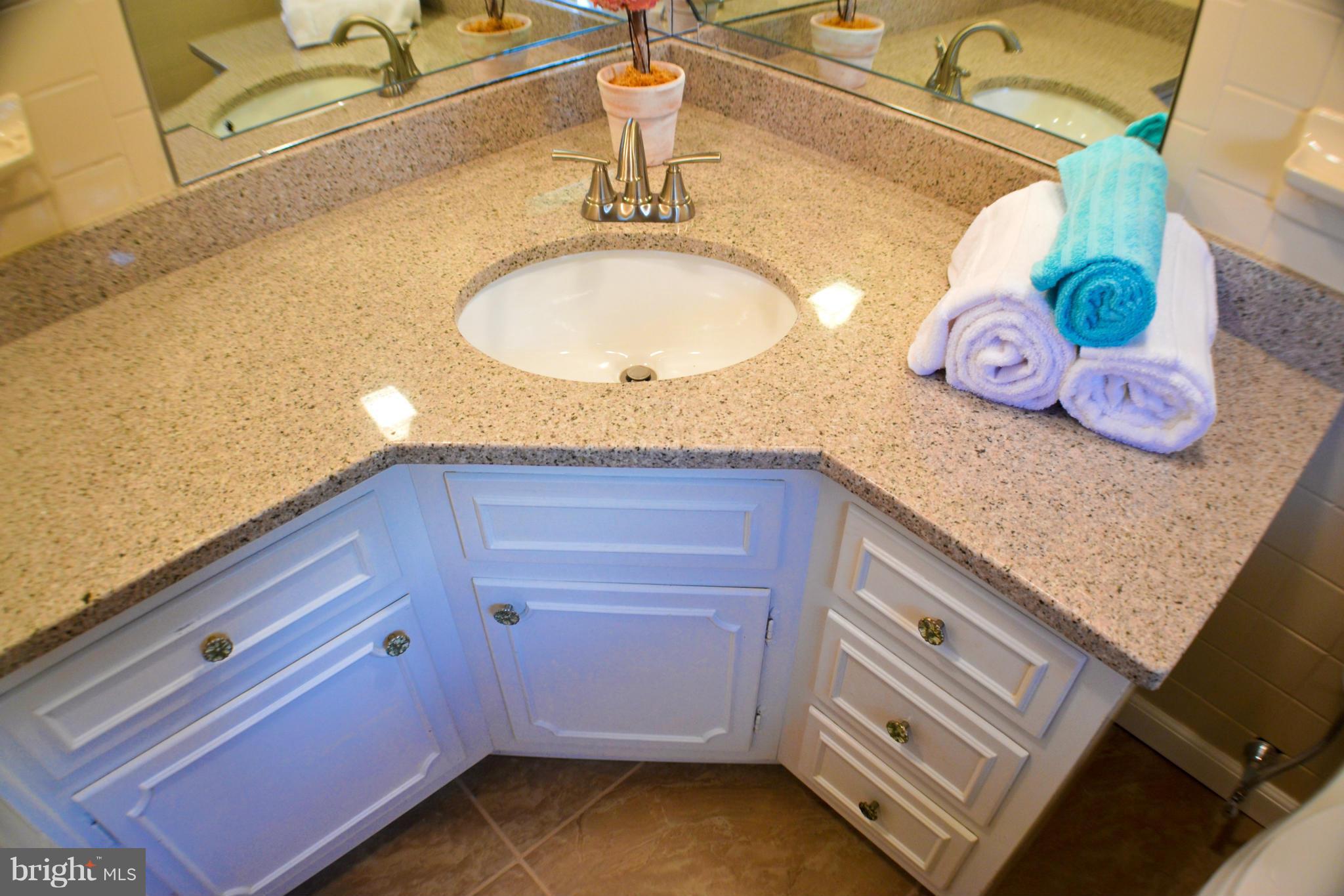 4036 Boteler Road Mount Airy, MD 21771 - Photo 14 of 30 Bath (Master)
