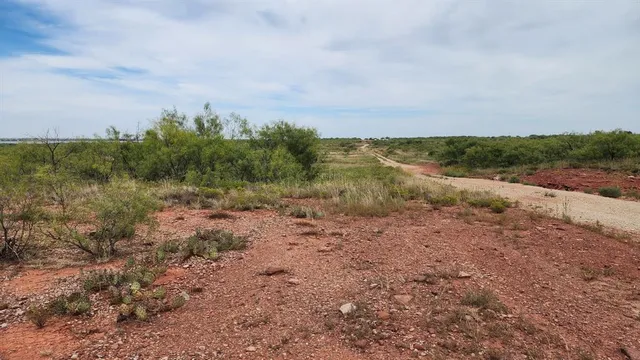a view of a field of grass and trees