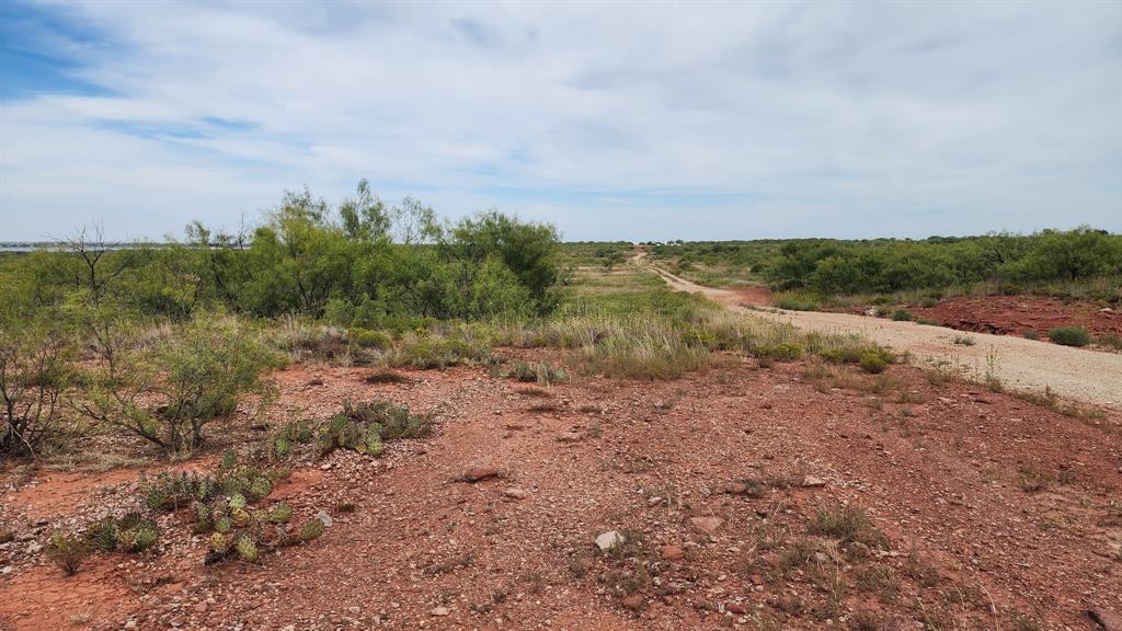 32-acres Lake Stamford 32-acres Lake Haskell, TX 79521 - Photo 22 of 26 a view of a field with trees in background