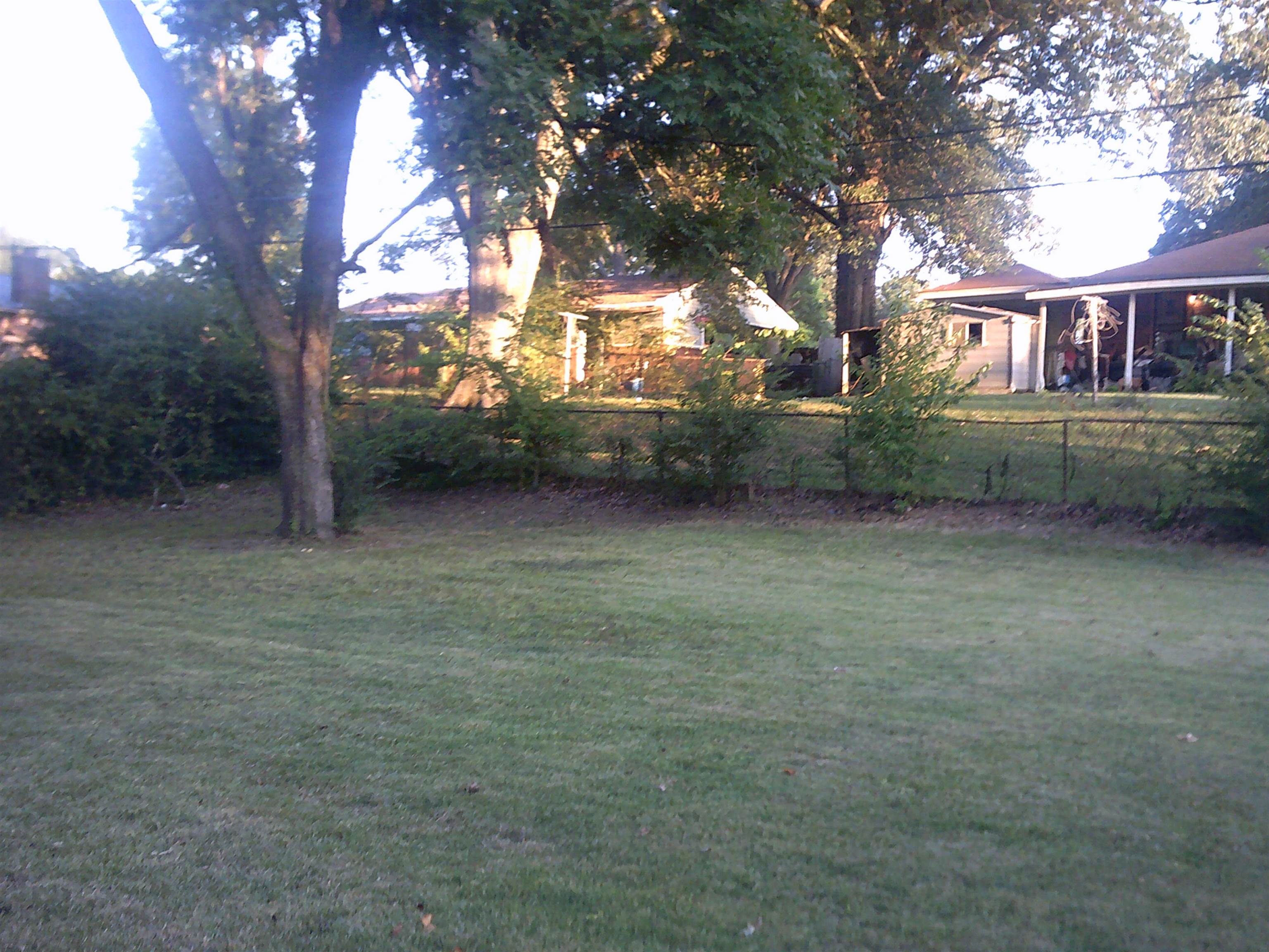 253 East Raines Road Memphis, TN 38109 - Photo 5 of 14 View of yard