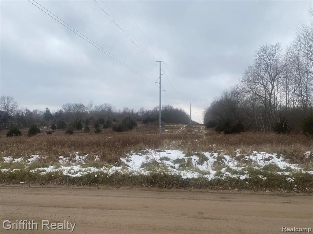 Vl Mack Road Linden, MI 48451 - Photo 2 of 3