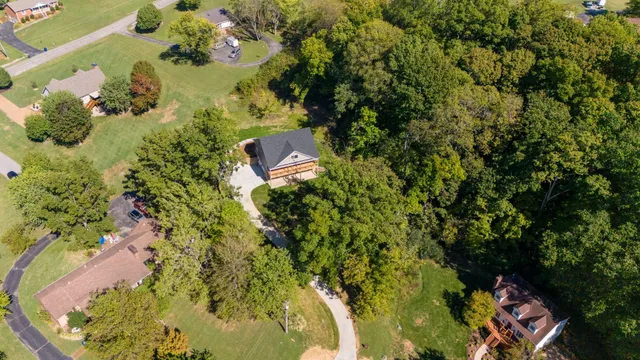 a view of a garden with a tree