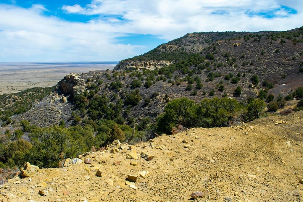 Tbd Turkey Run Trinidad, CO 81082 - Photo 43 of 60