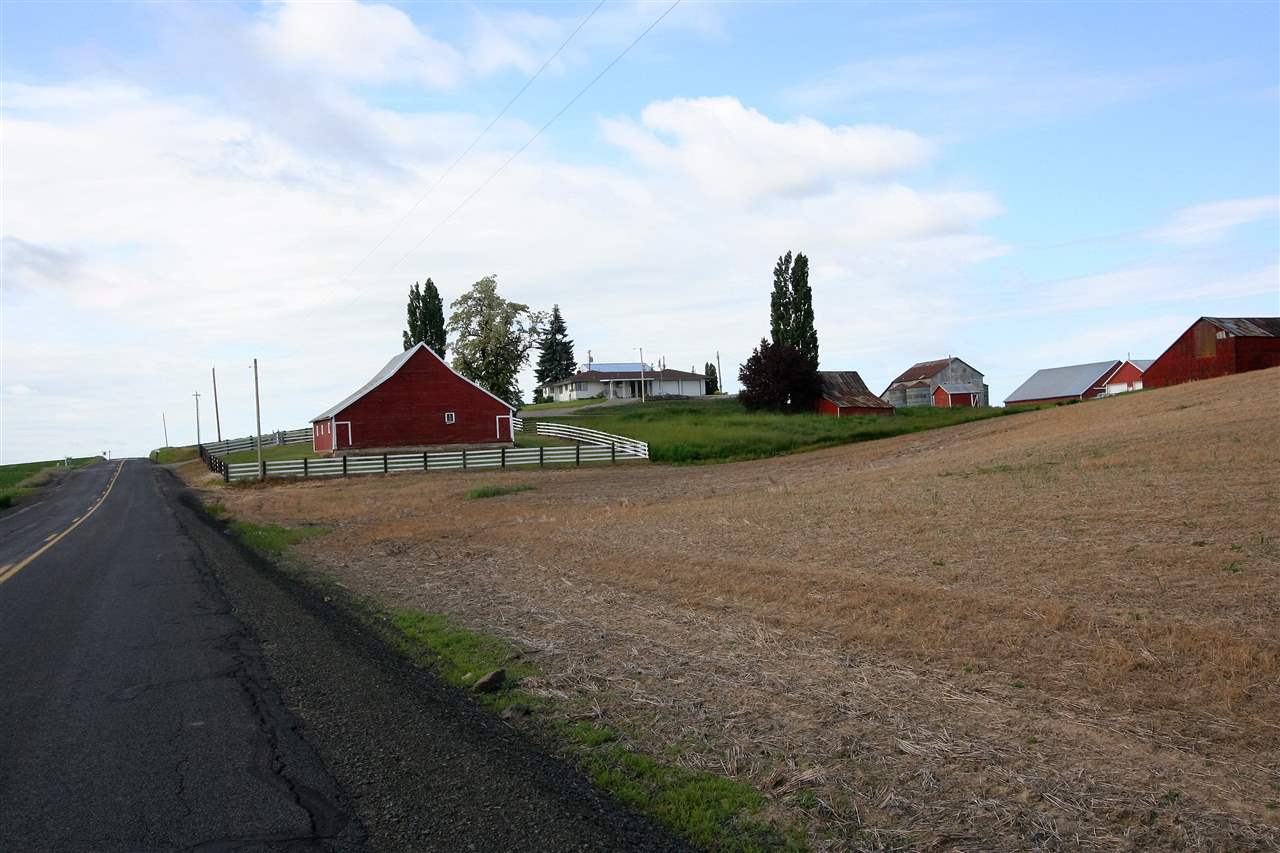 15404 South Madison Road Valleyford, WA 99036 - Photo 13 of 20