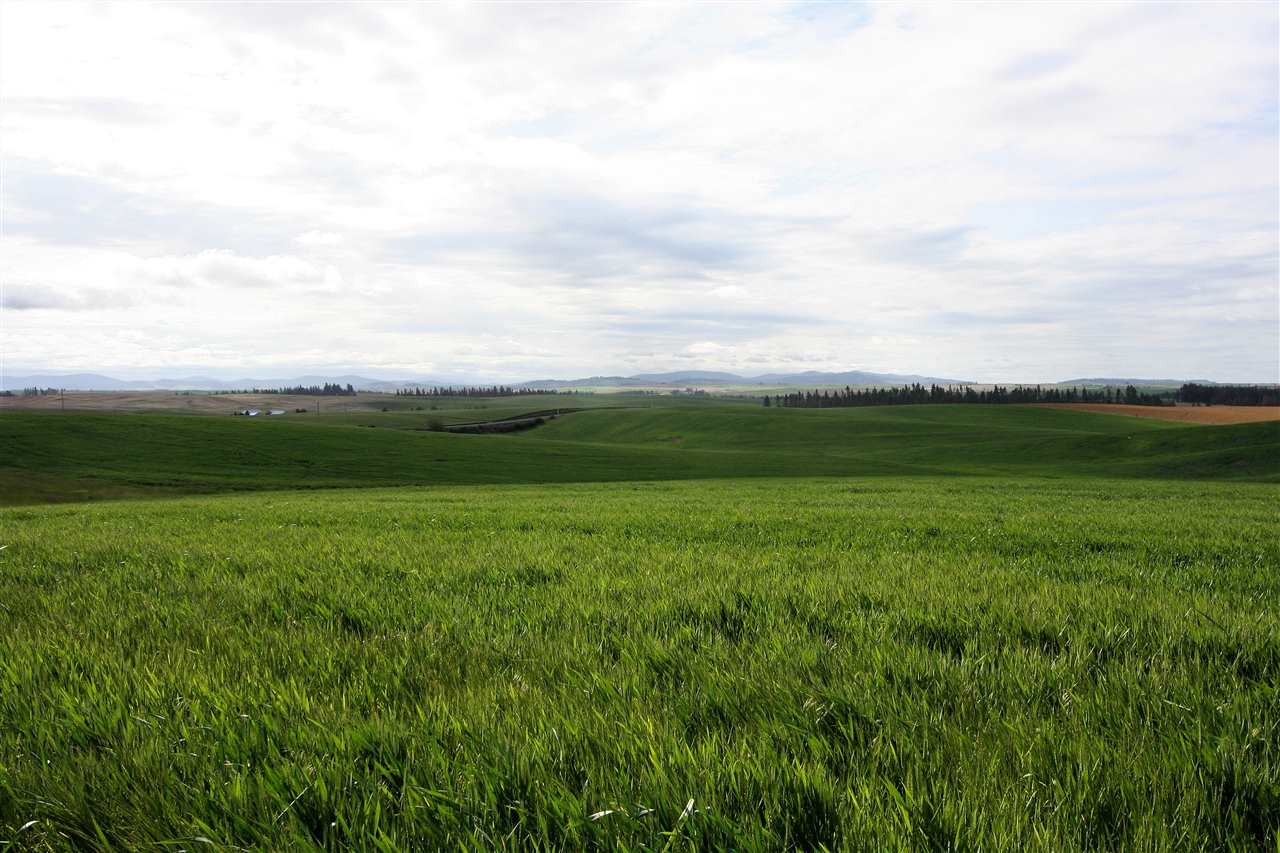 15404 South Madison Road Valleyford, WA 99036 - Photo 20 of 20