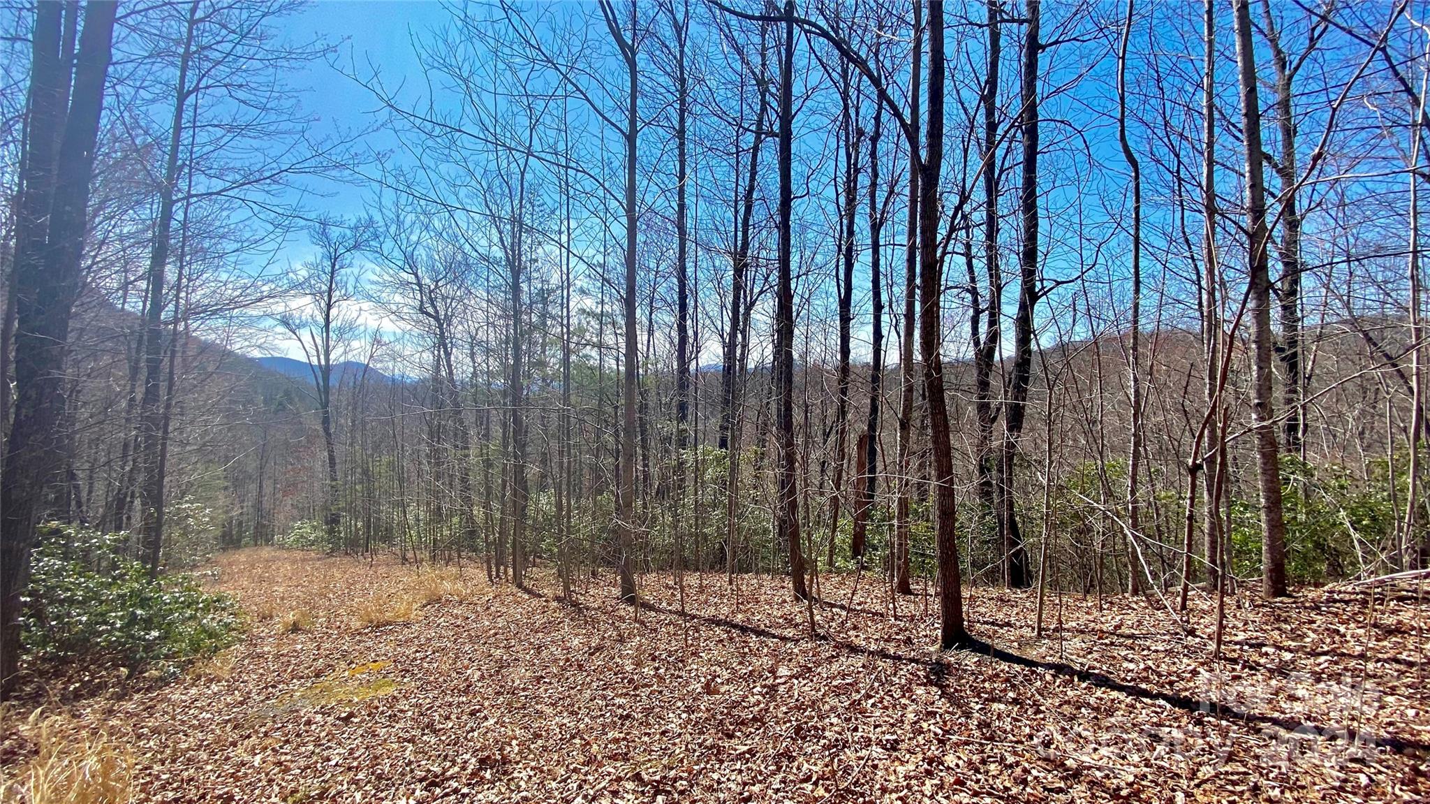 9999 Lake George Road, Unit 972/973 Old Fort, NC 28762 - Photo 2 of 15 Gallery Image 2