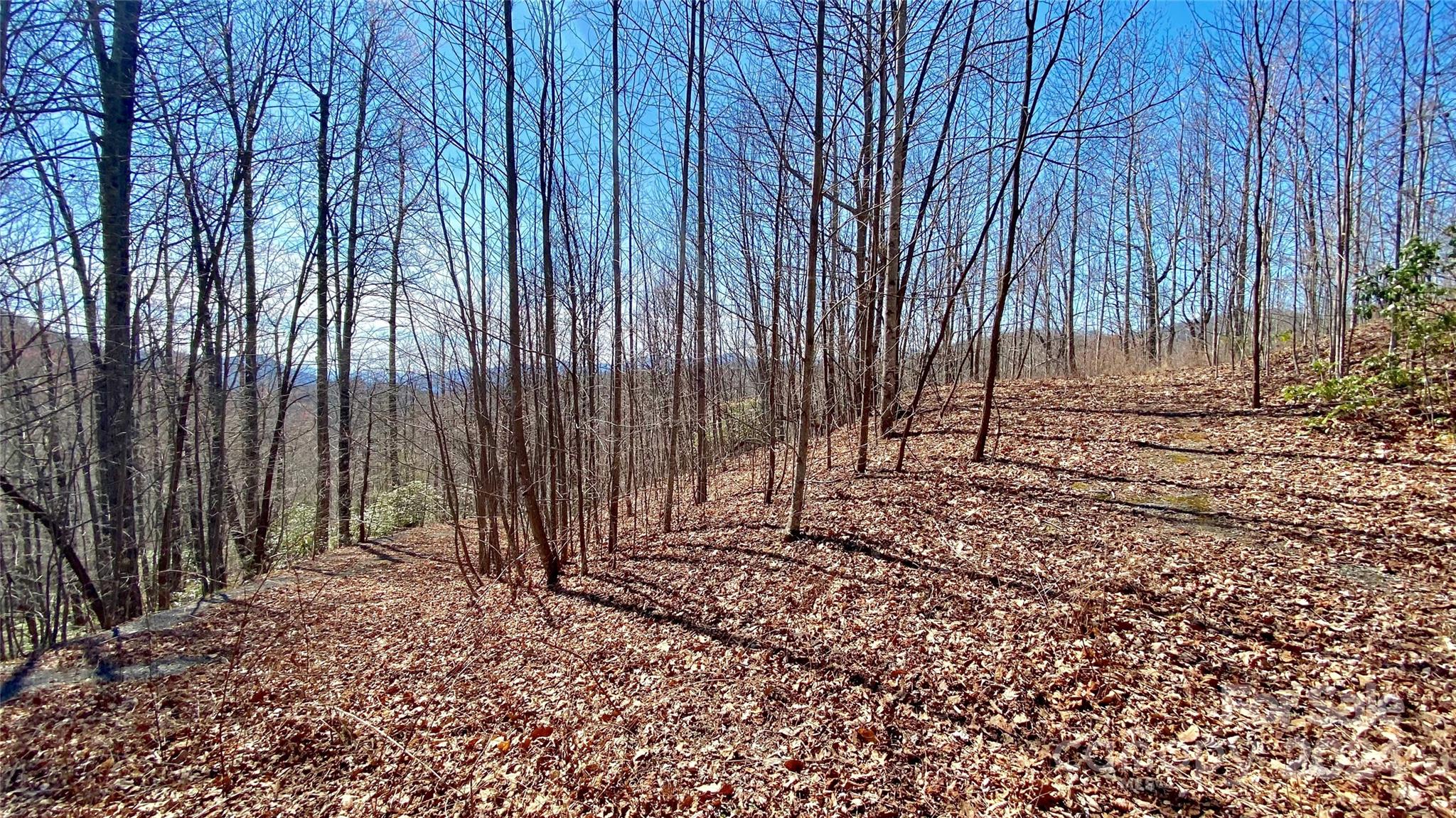 9999 Lake George Road, Unit 972/973 Old Fort, NC 28762 - Photo 3 of 15 Gallery Image 3
