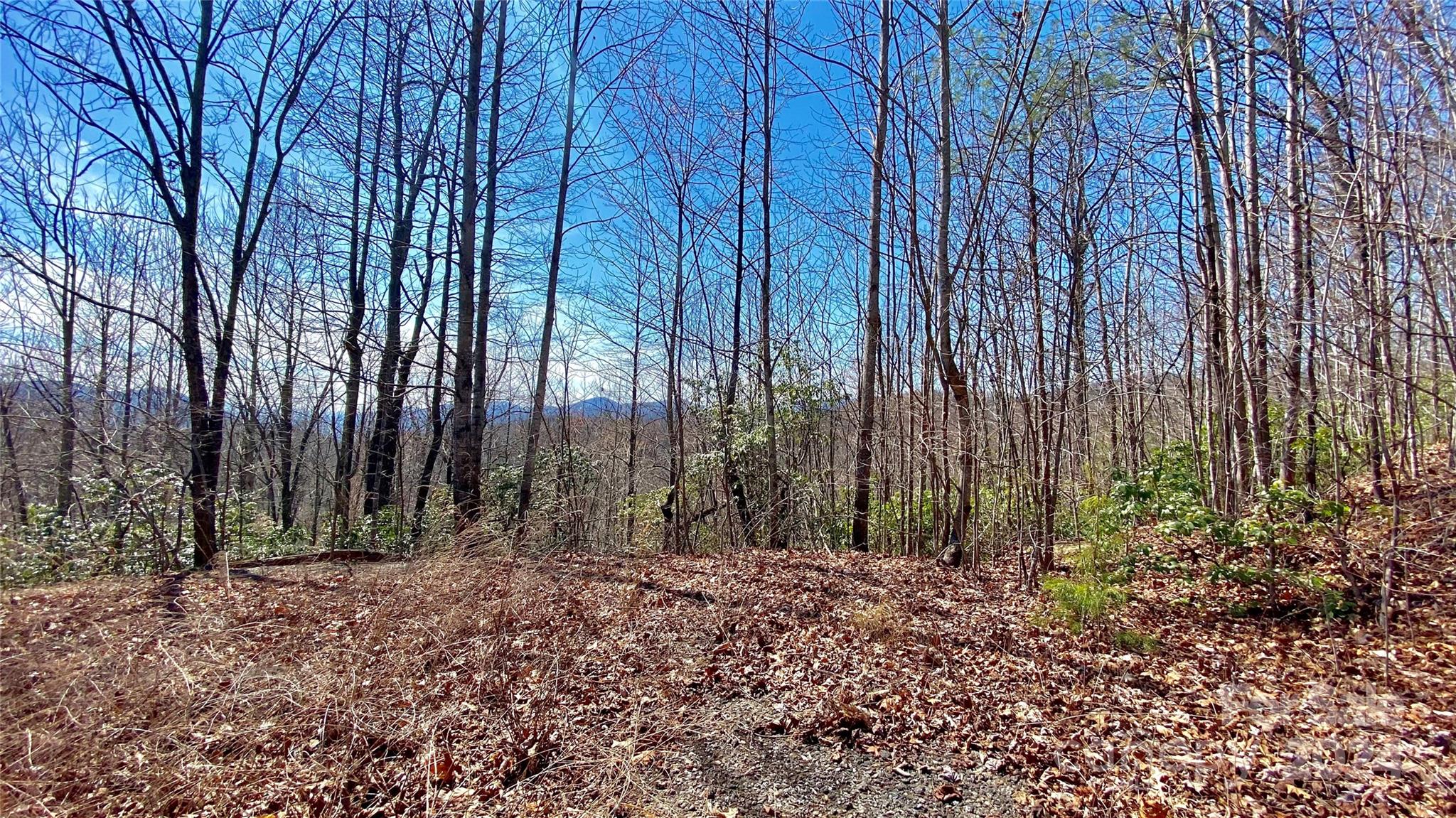 9999 Lake George Road, Unit 972/973 Old Fort, NC 28762 - Photo 5 of 15 Gallery Image 5