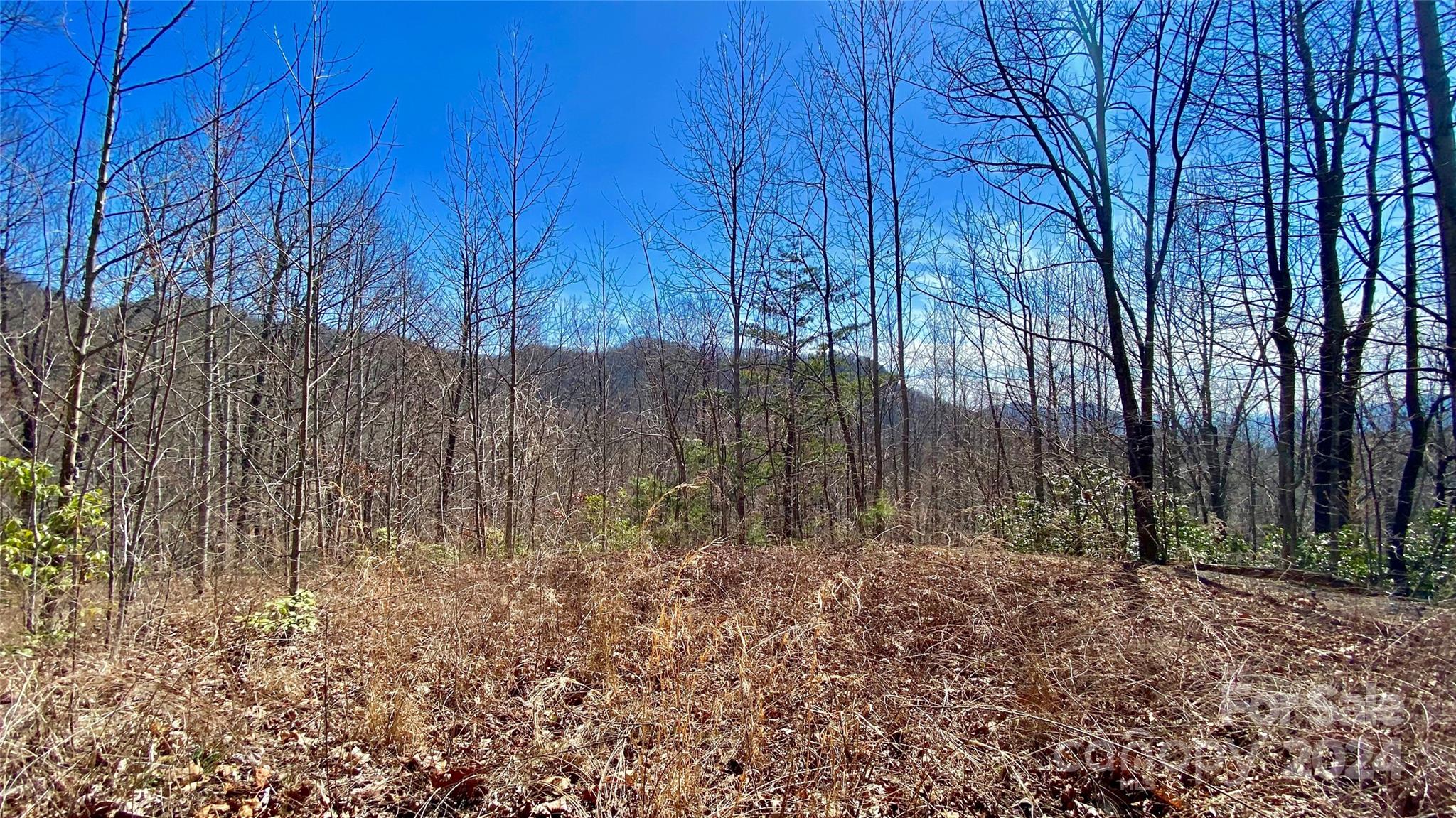 9999 Lake George Road, Unit 972/973 Old Fort, NC 28762 - Photo 6 of 15 Gallery Image 6