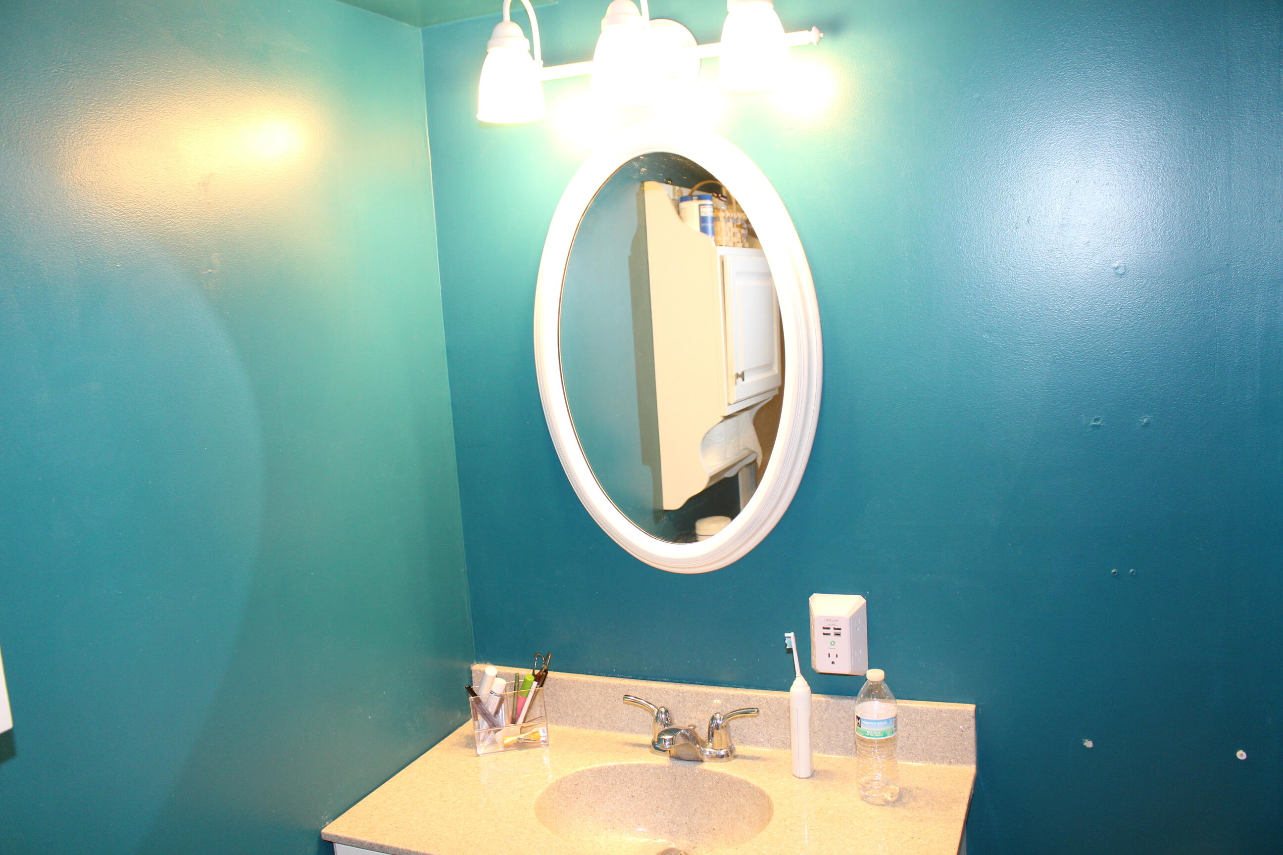 9868 Willow Road Willis, MI 48191 - Photo 68 of 146 IMG_1425