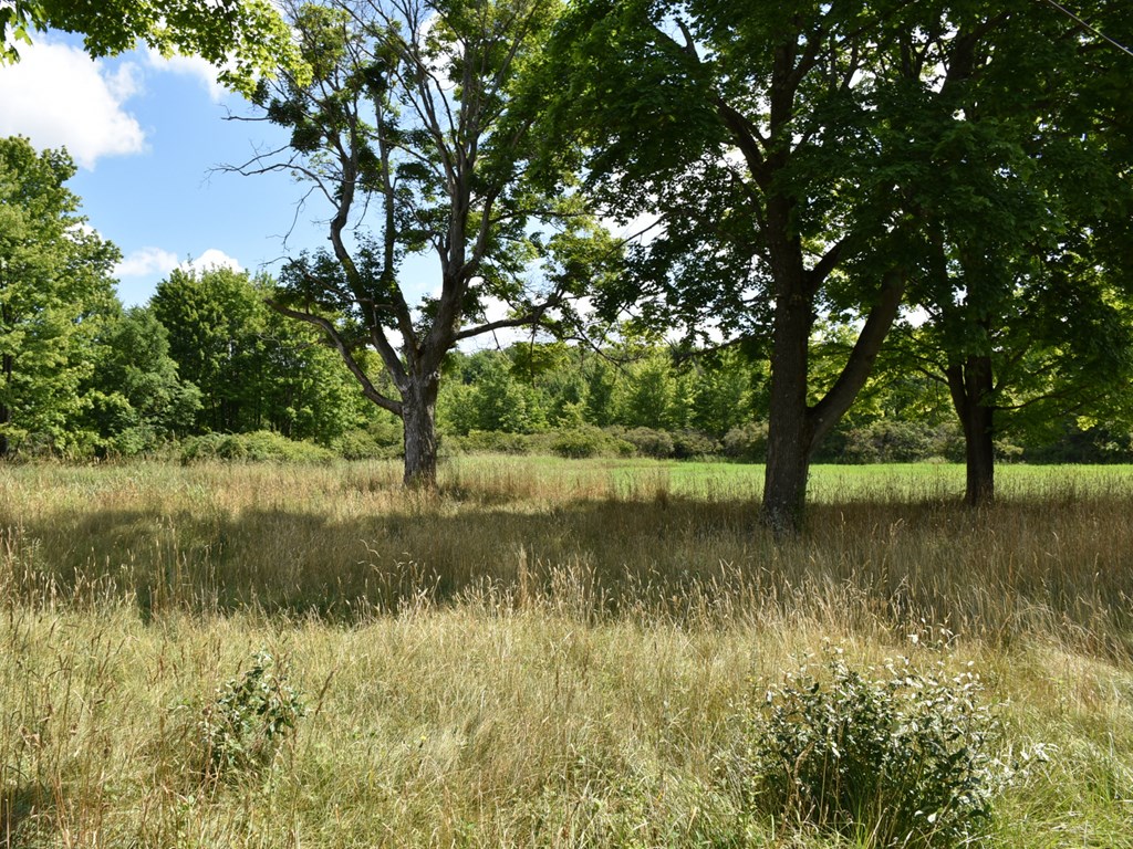 15030 Middle Road Meadville, PA 16335 - Photo 3 of 10 Gallery Image 3