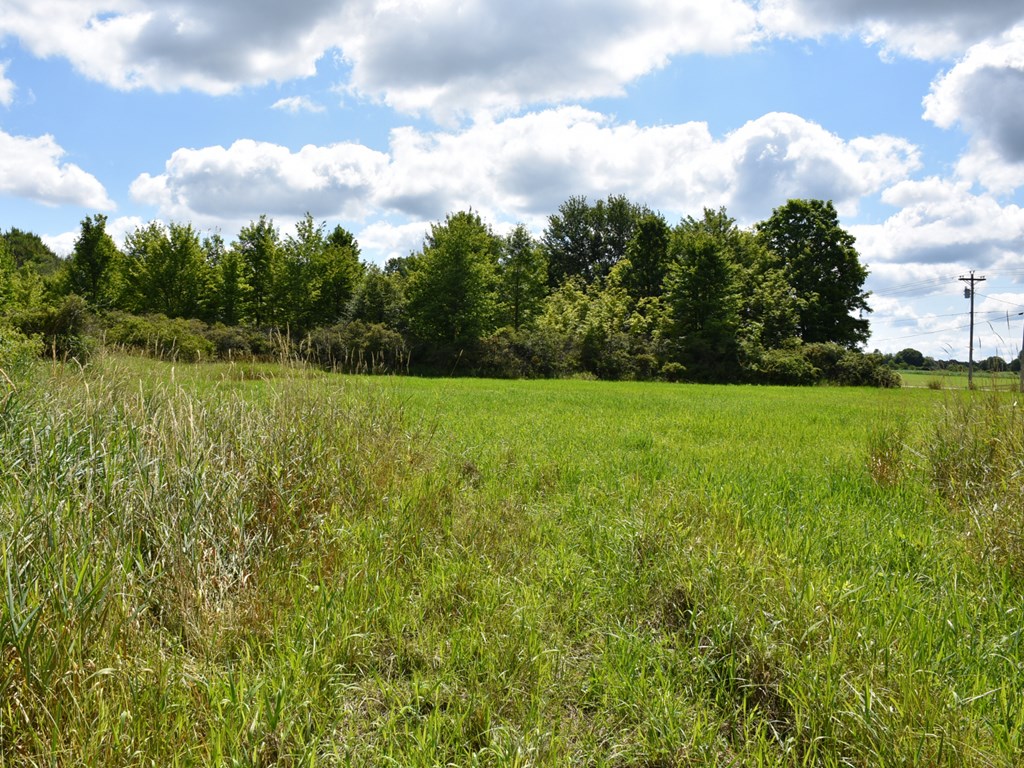 15030 Middle Road Meadville, PA 16335 - Photo 8 of 10 Gallery Image 8